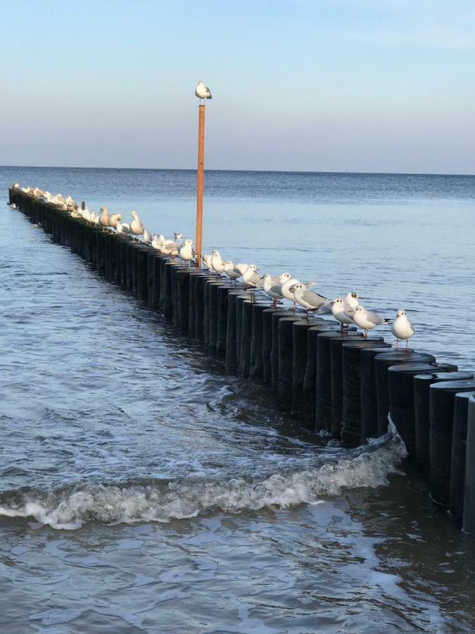 Apartament „Nova Polana” Kolobrzeg Polanki Park Buitenkant foto